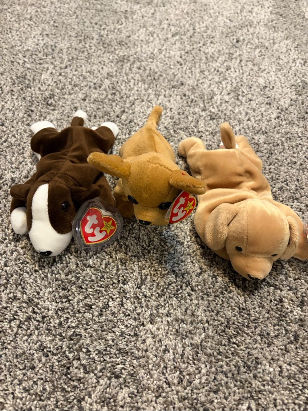 Lot of 3 vintage TY beanie babies Tiny & Bruno & Fetch dogs